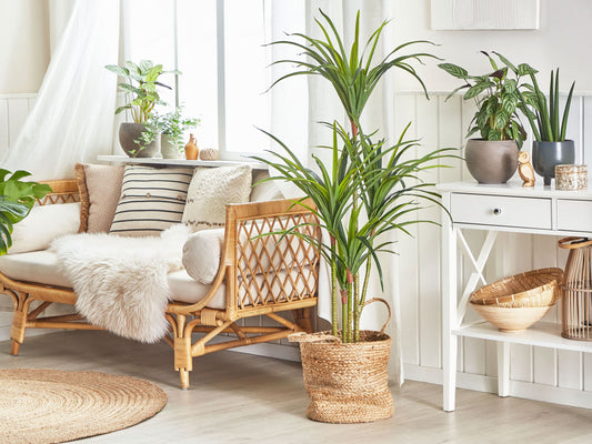 Kunstpflanze im Blumentopf 147 cm DRACAENA ANITA