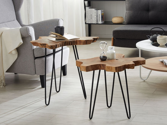 Beistelltisch 2er Set Holz dunkelbraun / schwarz CAMROSE