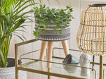 Blumentopf mit Beinen ARGINIA Keramik 25 cm Grau
