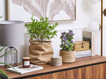 Kunstpflanze im Blumentopf 31 cm HOUSELEEK PLANT