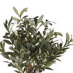 Kunstpflanze im Blumentopf 77 cm OLIVE TREE