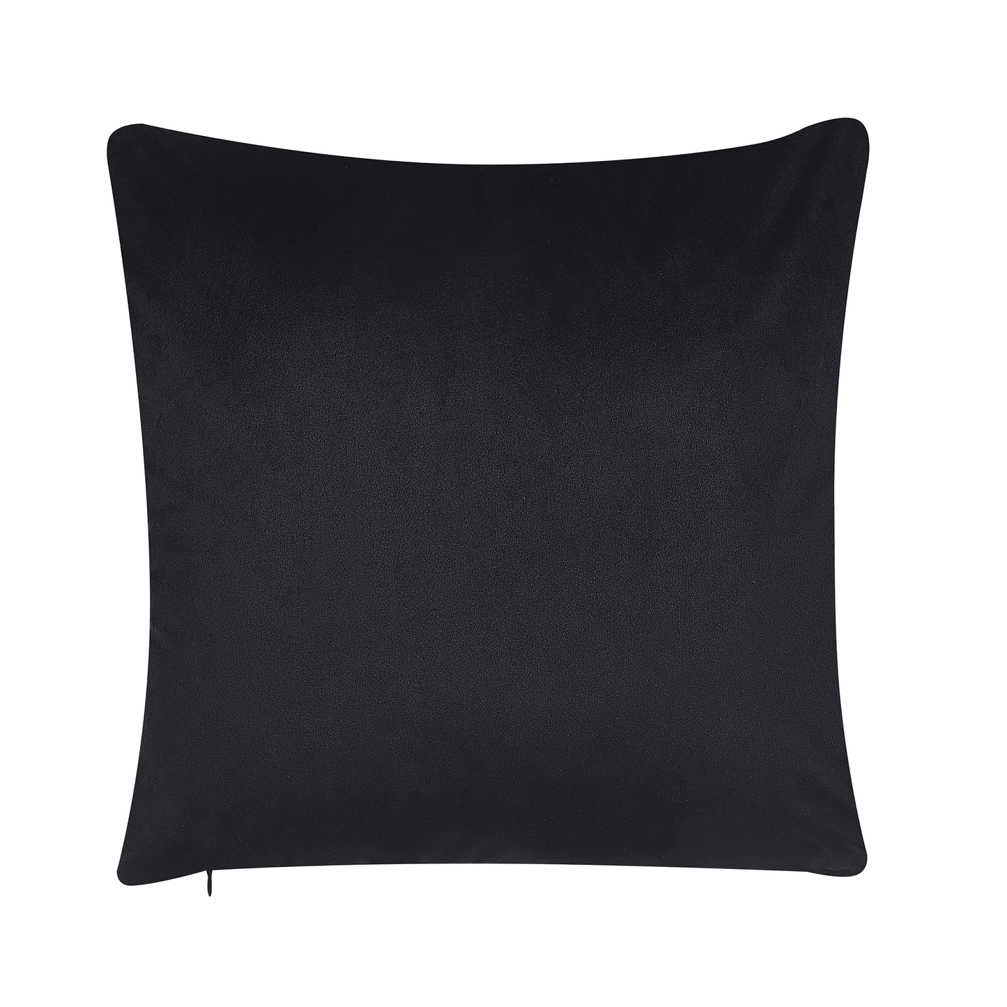 Dekokissen 2er Set LAGURUS Samtstoff 45 x 45 cm Bunt Pflanzenmuster