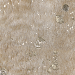 Kunstfell-Teppich Kuh beige mit goldenen Sprenkeln 150 x 200 cm BOGONG