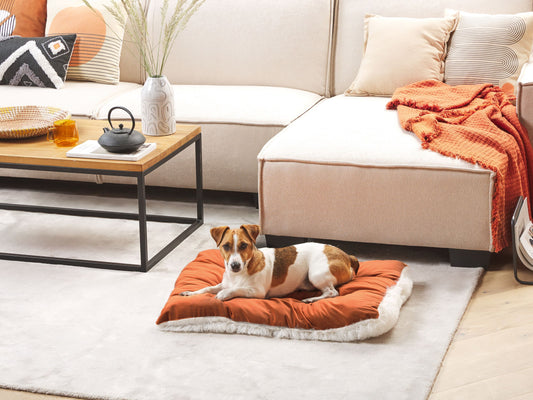 Tierbett ERGANI Samtstoff Orange