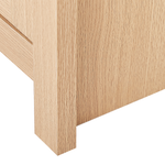 Sideboard mit 2 Türen LANSIN 80 cm Hellbraun