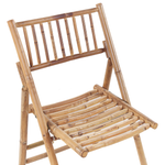Bistro Set klappbar SAVELLETRI Holz Braun