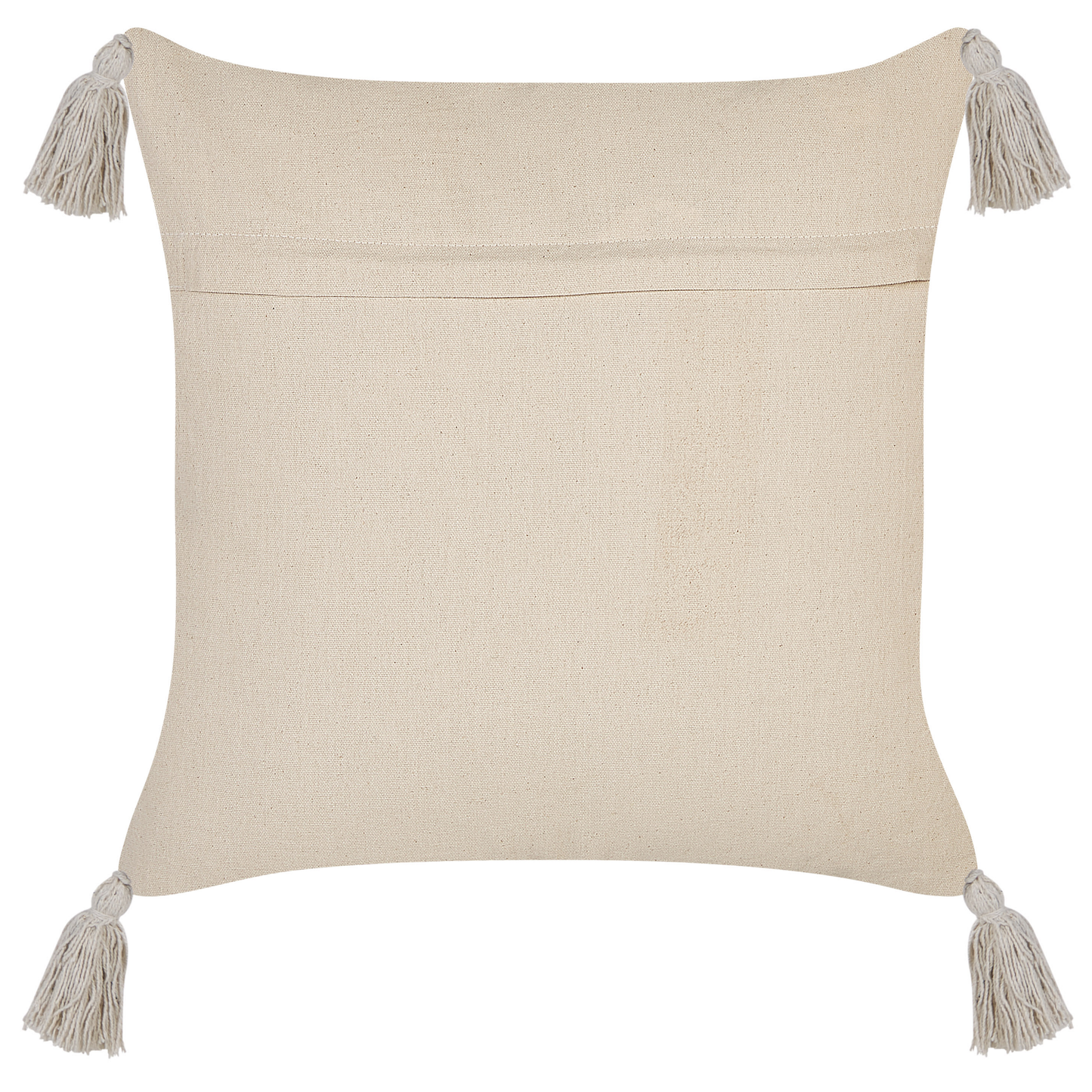 Kissen 2er Set Beige EUPHORBIA 45 x 45 cm