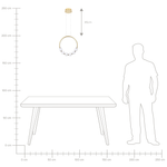 LED Hängelampe FANE Metall Gold