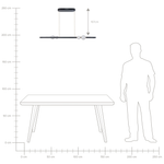 LED Hängelampe FEALE Metall Schwarz