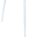 Esszimmerstuhl 2er Set NASHUA II Weiss