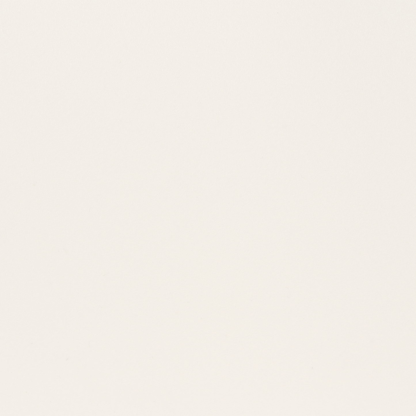 Esszimmerstuhl 2er Set MILACA Beige