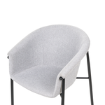 Esszimmerstuhl 2er Set AMES Hellgrau