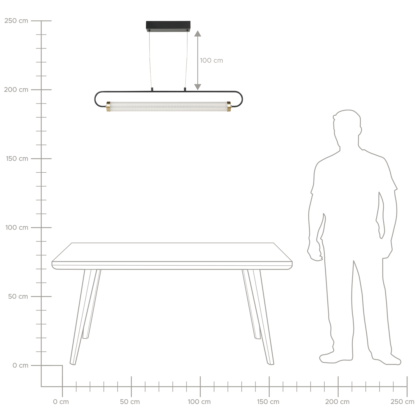Hängelampe Metall schwarz integriertes LED-Licht HENRY