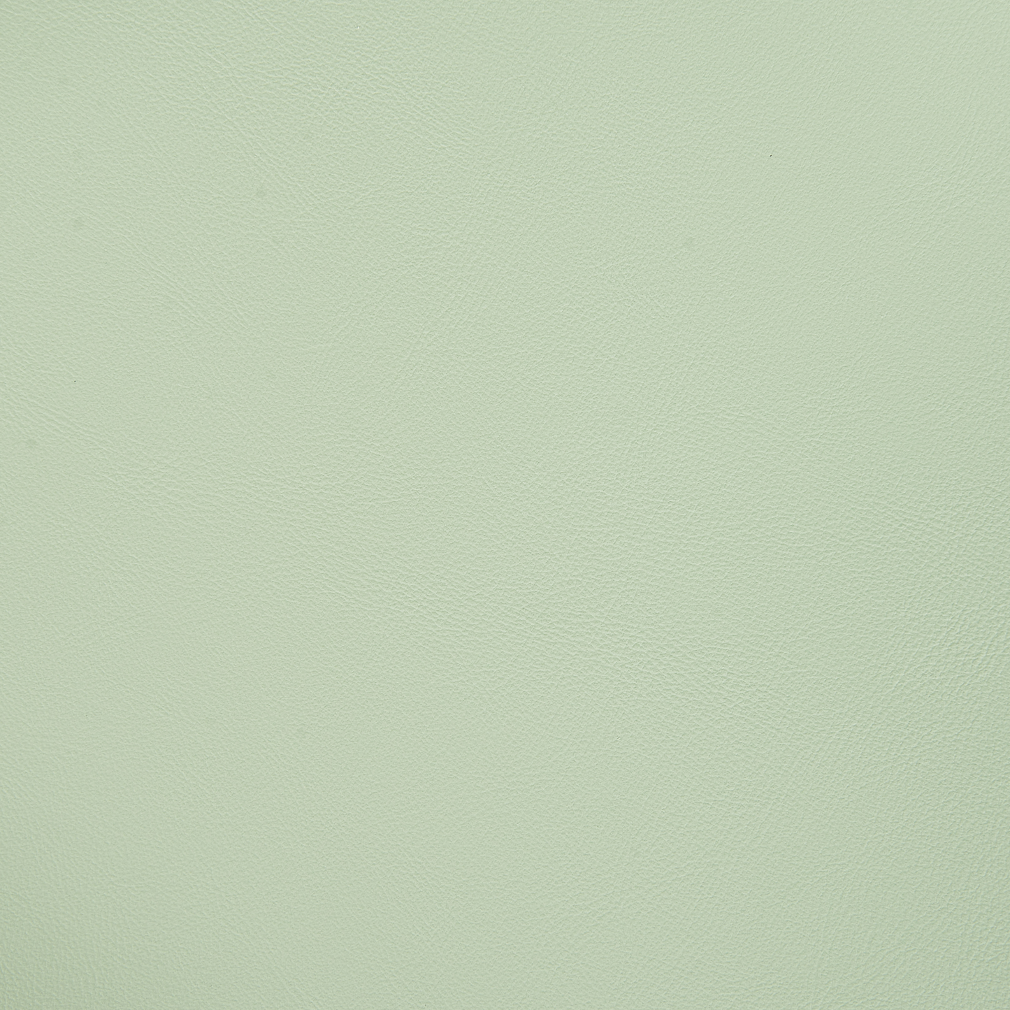 Esszimmerstuhl 4er Set MORILL Hellgrün