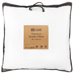 Kissen 2er Set ERRIGAL Niedrig Mikrofaser 80 x 80 cm Weiss