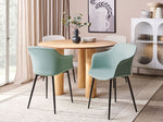 Esszimmerstuhl 2er Set ELIM Mintgrün