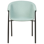 Esszimmerstuhl 2er Set AMES Mintgrün