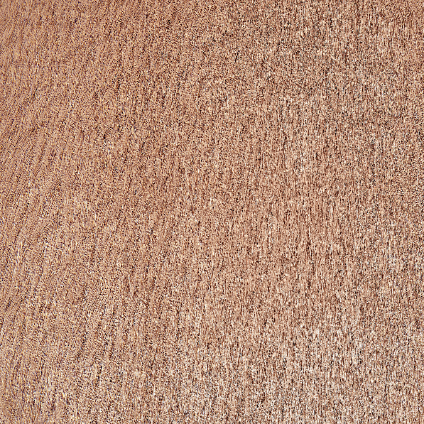 Dekokissen 2er Set ACHILLEA Webpelz 54 x 54 cm Beige Ohne Muster