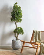 Kunstpflanze im Blumentopf 160 cm LAURELE