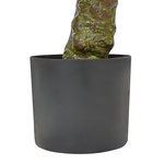 Kunstpflanze im Blumentopf 160 cm LAURELE