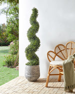 Kunstpflanze im Blumentopf 158 cm BUXUS SPIRAL TREE