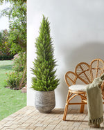 Kunstpflanze im Blumentopf 153 cm CEDAR TREE